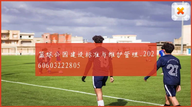 篮球公园建设标准与维护管理_20260603222805