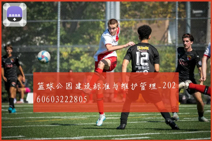 篮球公园建设标准与维护管理_20260603222805