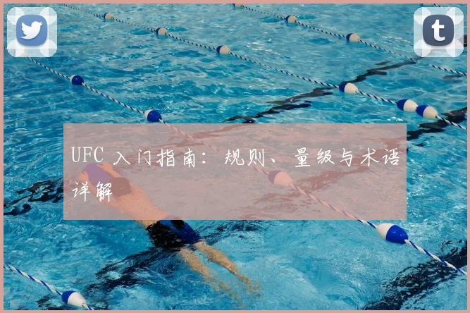 UFC 入门指南：规则、量级与术语详解